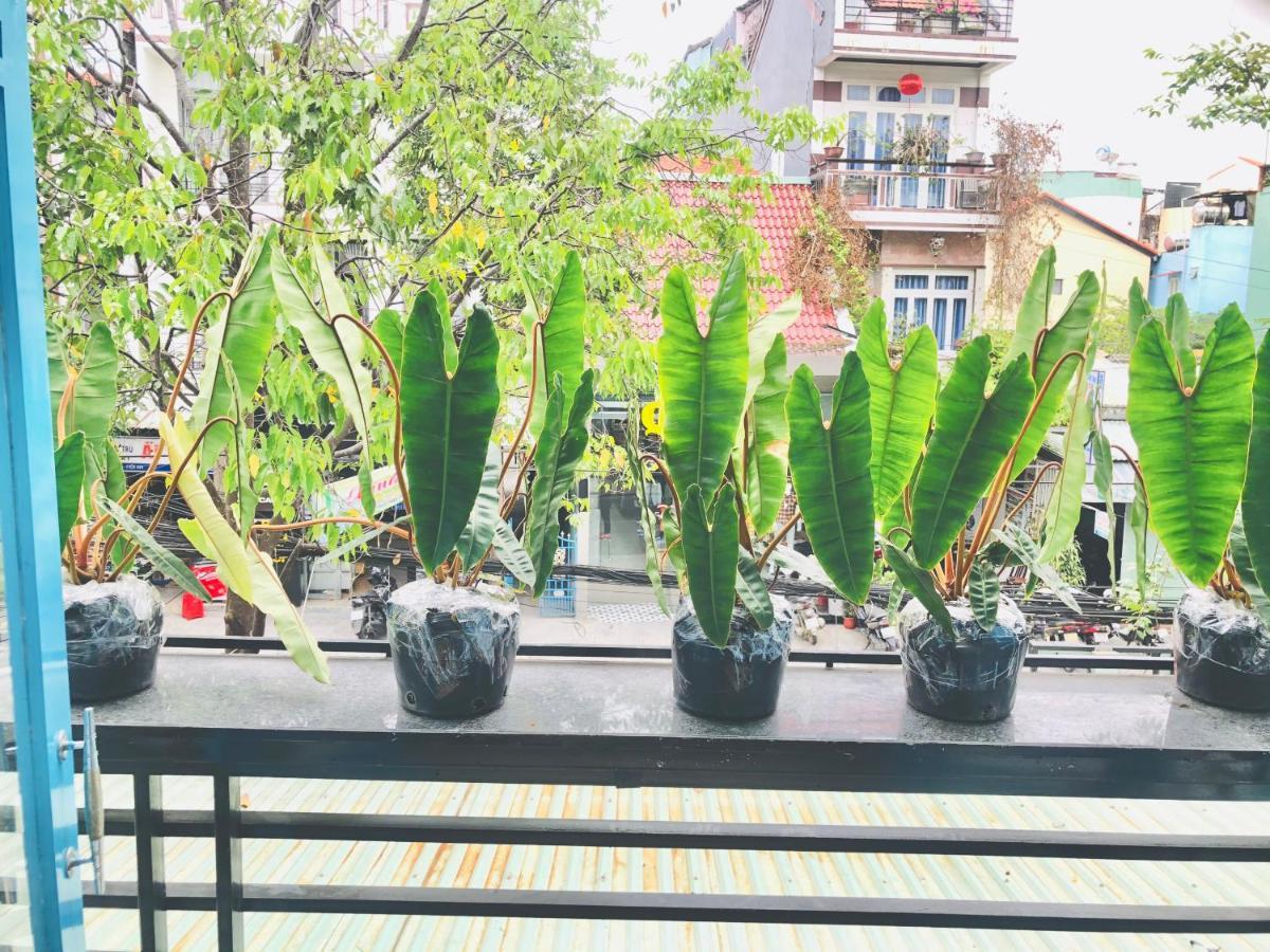 An'S Family Homestay Hoi An - 5Mins Walk To Hoi An Ancient Town Eksteriør bilde