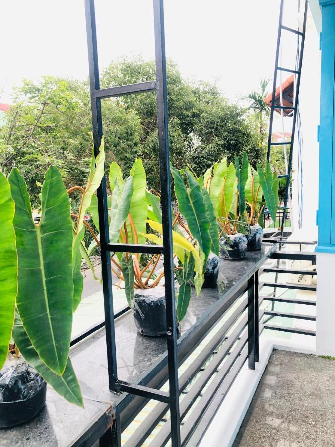 An'S Family Homestay Hoi An - 5Mins Walk To Hoi An Ancient Town Eksteriør bilde